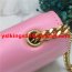 YSL Tassel Chain Bag 22cm Smooth Leather Pink Gold